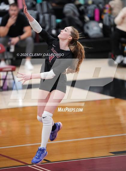 Thumbnail 1 in JV: Columbine @ Chatfield photogallery.