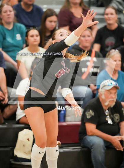 Thumbnail 3 in JV: Columbine @ Chatfield photogallery.