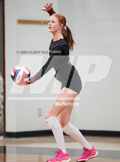 Thumbnail 1 in JV: Columbine @ Chatfield photogallery.