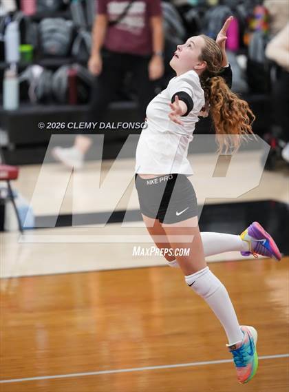 Thumbnail 3 in JV: Columbine @ Chatfield photogallery.