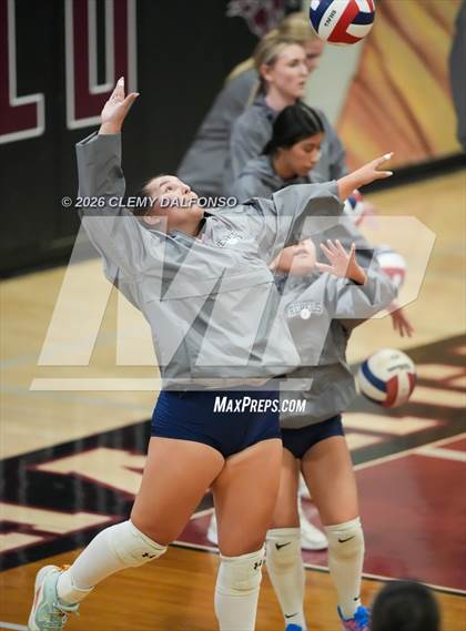 Thumbnail 3 in JV: Columbine @ Chatfield photogallery.