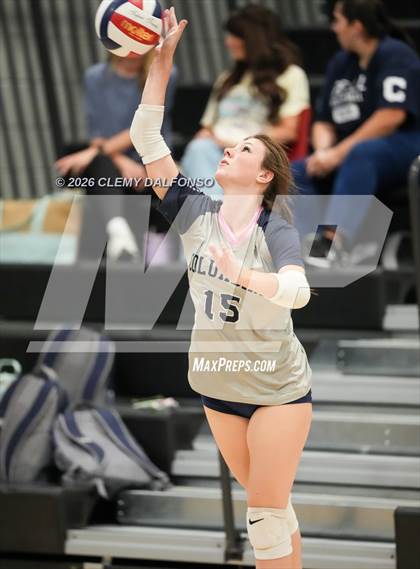 Thumbnail 3 in JV: Columbine @ Chatfield photogallery.