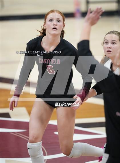 Thumbnail 2 in JV: Columbine @ Chatfield photogallery.
