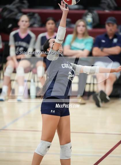 Thumbnail 1 in JV: Columbine @ Chatfield photogallery.
