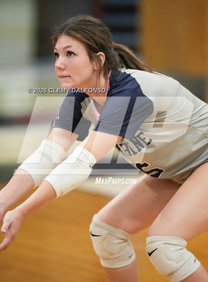 Thumbnail 2 in JV: Columbine @ Chatfield photogallery.