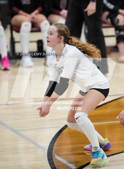 Thumbnail 1 in JV: Columbine @ Chatfield photogallery.