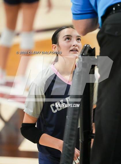 Thumbnail 3 in JV: Columbine @ Chatfield photogallery.