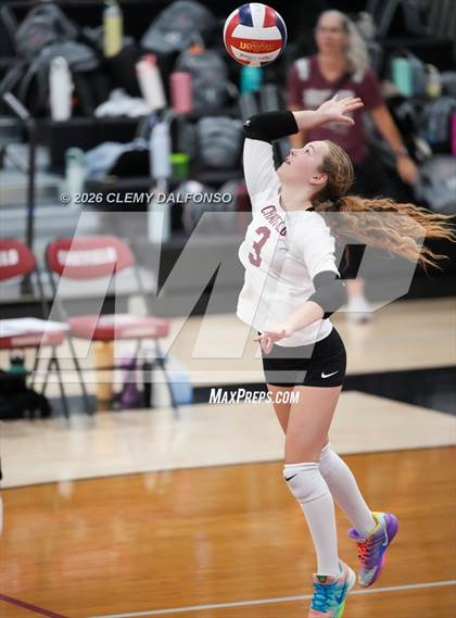 Thumbnail 2 in JV: Columbine @ Chatfield photogallery.