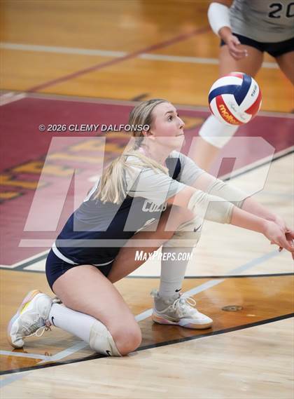 Thumbnail 2 in JV: Columbine @ Chatfield photogallery.
