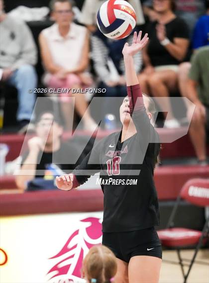 Thumbnail 3 in JV: Columbine @ Chatfield photogallery.