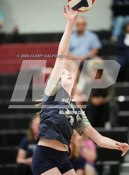 Thumbnail 1 in JV: Columbine @ Chatfield photogallery.
