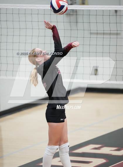 Thumbnail 1 in JV: Columbine @ Chatfield photogallery.