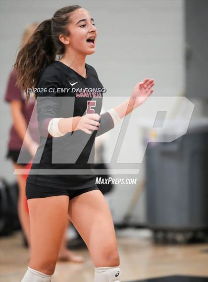 Thumbnail 2 in JV: Columbine @ Chatfield photogallery.