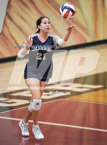Thumbnail 2 in JV: Columbine @ Chatfield photogallery.