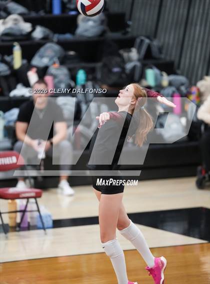 Thumbnail 2 in JV: Columbine @ Chatfield photogallery.