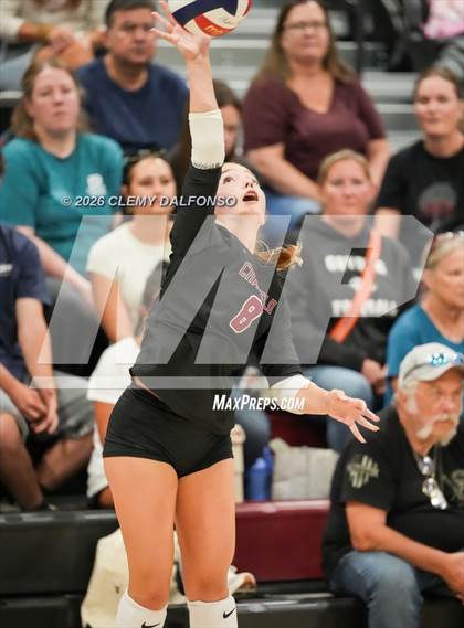 Thumbnail 1 in JV: Columbine @ Chatfield photogallery.