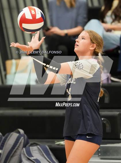 Thumbnail 1 in JV: Columbine @ Chatfield photogallery.