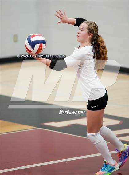 Thumbnail 3 in JV: Columbine @ Chatfield photogallery.