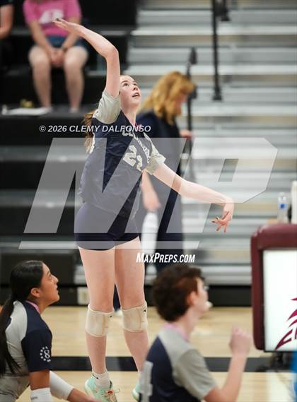 Thumbnail 2 in JV: Columbine @ Chatfield photogallery.