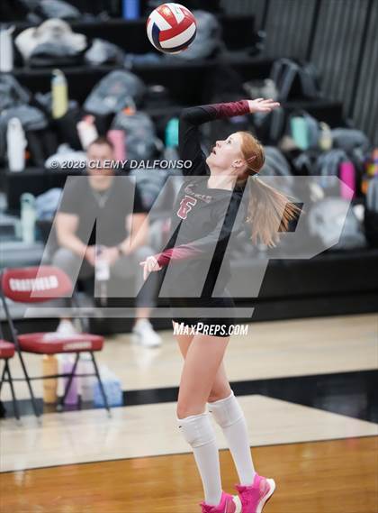 Thumbnail 1 in JV: Columbine @ Chatfield photogallery.