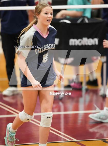 Thumbnail 3 in JV: Columbine @ Chatfield photogallery.
