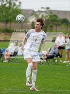 Photo from the gallery "Collierville vs. Huntsville"