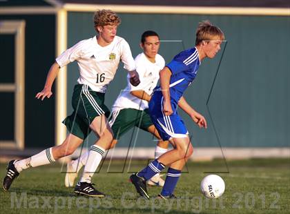 Thumbnail 3 in Geneva @ Waubonsie Valley photogallery.