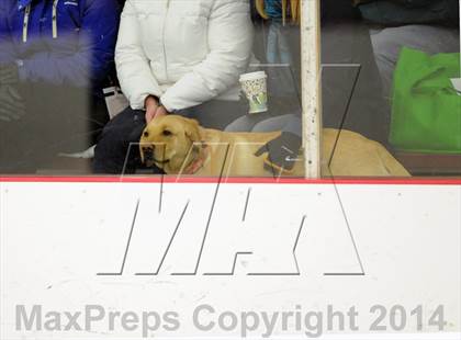 Thumbnail 3 in Berkshire @ Gunnery photogallery.