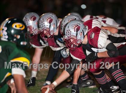 Thumbnail 3 in Bear River @ Placer photogallery.