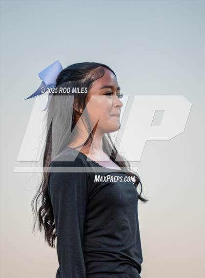 Thumbnail 2 in Archie Williams @ Tennyson photogallery.