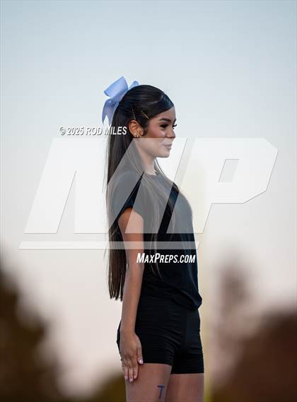 Thumbnail 1 in Archie Williams @ Tennyson photogallery.