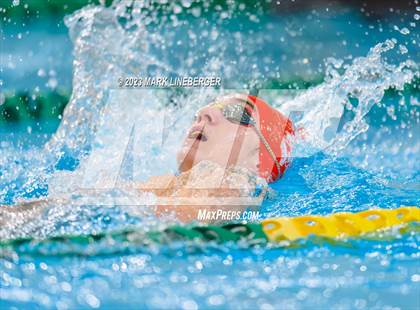 Thumbnail 2 in Parkland @ Emmaus photogallery.