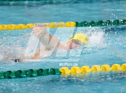 Thumbnail 1 in Parkland @ Emmaus photogallery.