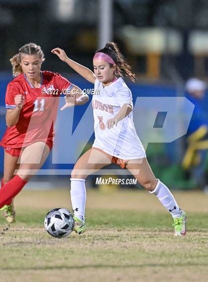 Thumbnail 1 in Lee vs Madison photogallery.