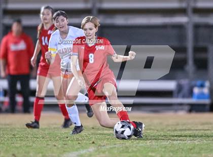Thumbnail 3 in Lee vs Madison photogallery.