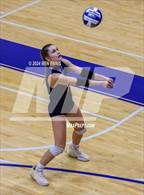 Photo from the gallery "Daniel vs. Savannah Christian (Lovett Block Party)"