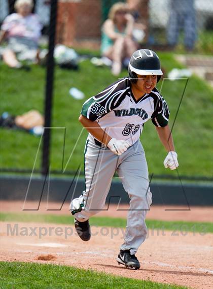 Thumbnail 3 in Holly vs. Fleming (CHSAA 1A Final) photogallery.