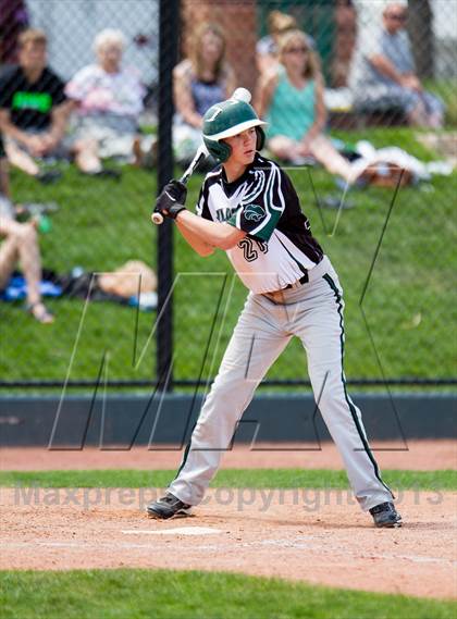 Thumbnail 1 in Holly vs. Fleming (CHSAA 1A Final) photogallery.