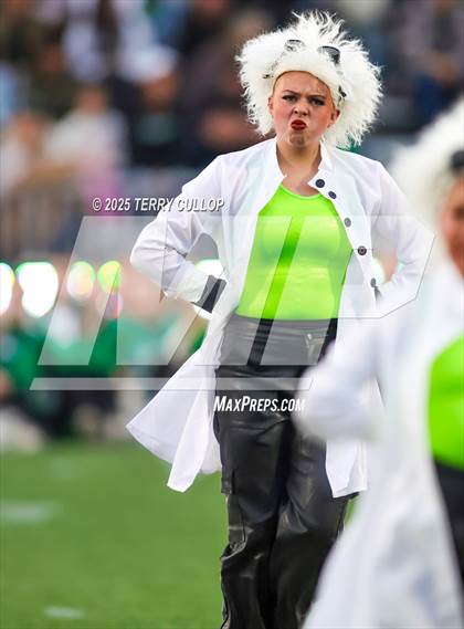 Thumbnail 1 in San Juan Royals "Einstein" photogallery.