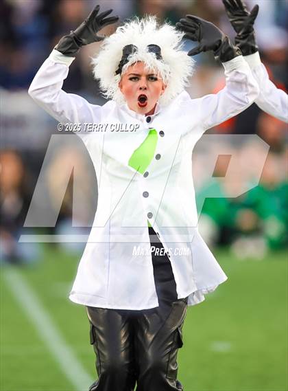 Thumbnail 3 in San Juan Royals "Einstein" photogallery.