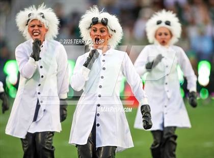 Thumbnail 3 in San Juan Royals "Einstein" photogallery.