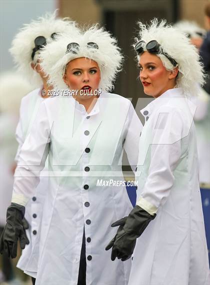 Thumbnail 2 in San Juan Royals "Einstein" photogallery.