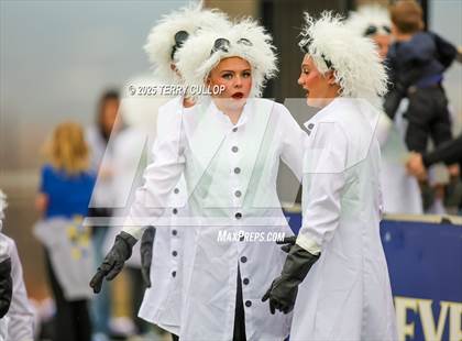 Thumbnail 1 in San Juan Royals "Einstein" photogallery.