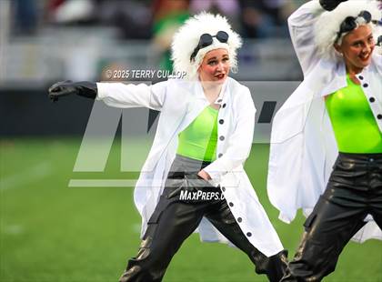 Thumbnail 1 in San Juan Royals "Einstein" photogallery.