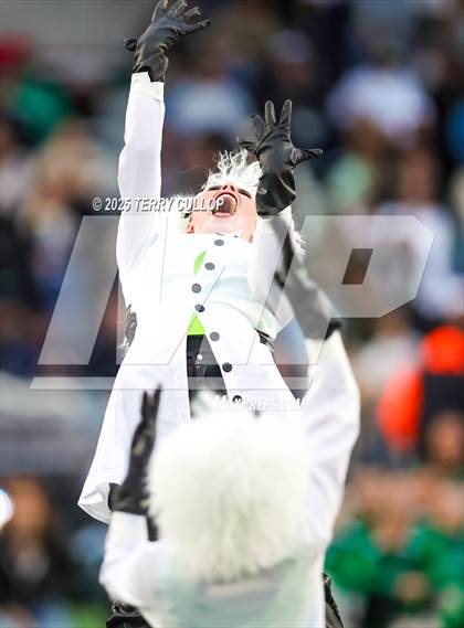 Thumbnail 1 in San Juan Royals "Einstein" photogallery.