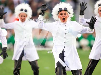 Thumbnail 1 in San Juan Royals "Einstein" photogallery.