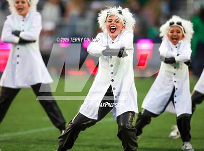 Thumbnail 1 in San Juan Royals "Einstein" photogallery.