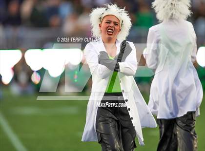 Thumbnail 3 in San Juan Royals "Einstein" photogallery.