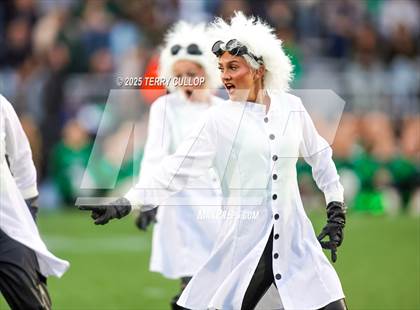 Thumbnail 1 in San Juan Royals "Einstein" photogallery.