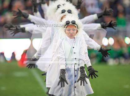 Thumbnail 3 in San Juan Royals "Einstein" photogallery.